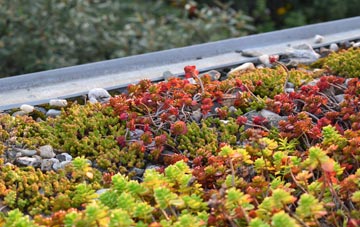 the cost of Sandling green roof installation