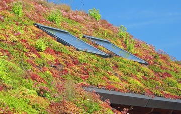 Sandling living roof systems