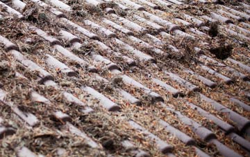 Sandling roof cleaning companies