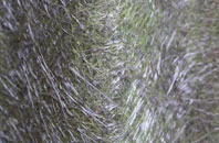 Sandling fibreglass roof work